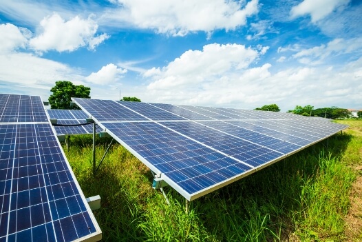 Solar Branche